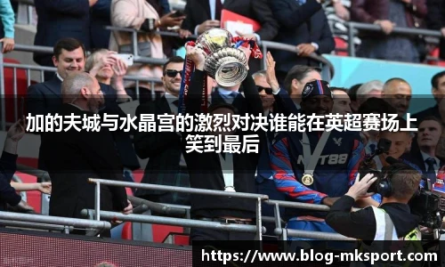 加的夫城与水晶宫的激烈对决谁能在英超赛场上笑到最后
