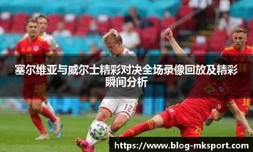 塞尔维亚与威尔士精彩对决全场录像回放及精彩瞬间分析
