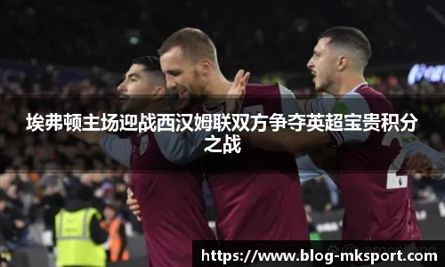 埃弗顿主场迎战西汉姆联双方争夺英超宝贵积分之战