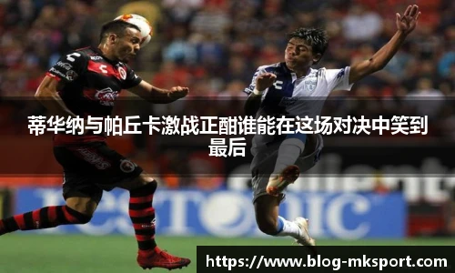MK体育